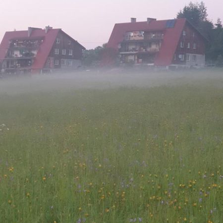 Apartament Wrzos Bieszczady Чарна Экстерьер фото